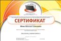 Сетрификат участника сетевого профессионального педагогического сообщества "NETFOLIO". Сетрификат участника сетевого профессионального педагогического сообщества "NETFOLIO".
